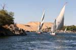 Felouques Nile Aswuan