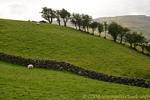 Irland