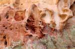 Jordanien Wadi el Mudhlim Petra 195