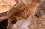 Jordanien Wadi el Mudhlim Petra 198