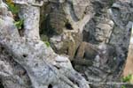 Banteay Kdei Angkor 370