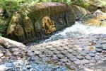 Kbal Spean Angkor 212