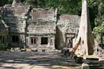 Ta-Phrom Angkor 386