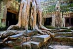 Ta-Phrom Angkor 390a