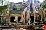Ta-Phrom Angkor 394a