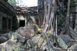 Ta-Phrom Angkor 412