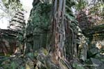 Ta-Phrom Angkor 413