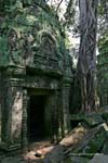 Ta-Phrom Angkor 415