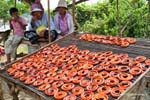 Phumi Chhlong Cambodia 260