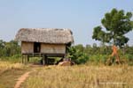 N7 entre Kratie & Kampong Cham 0206