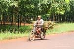 N7 entre Kratie & Kampong Cham 0244