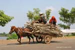 N7 entre Kratie & Kampong Cham 0268
