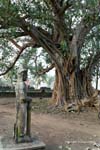 Wat Nokor Kampong Cham 348