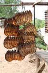Skon Skun Cambodia 0451