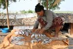 Skon Skun Cambodia 0461
