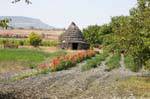 nuraghe santu antine hutte exterieure 02