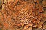 nuraghe santu antine voute nuragique 11
