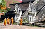 Wat Chedi Luang Chiang Mai 367 Thailand