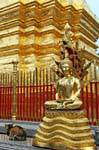 Wat Doi Suthep Chiang-Mai 302 Thailand