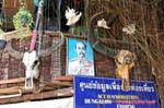 Koh Phi Phi 88 Thailand