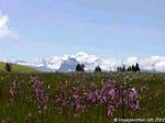 Alpen Mont-Blanc.