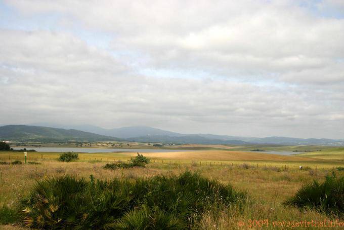 Landschaft Embalse de Barbate, Alcala de Los Gazules - Spanien, Andalusien