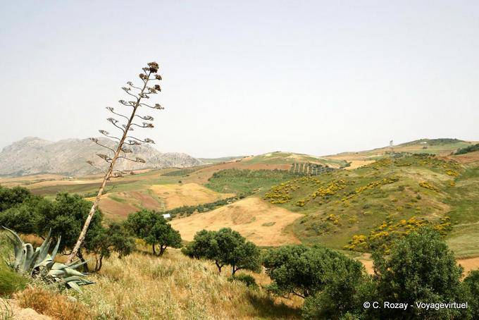 Andalusische Landschaft der Umgebung von Antequera - Spanien