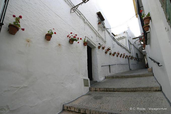 Straße Geranien Arcos de la Frontera - Spanien