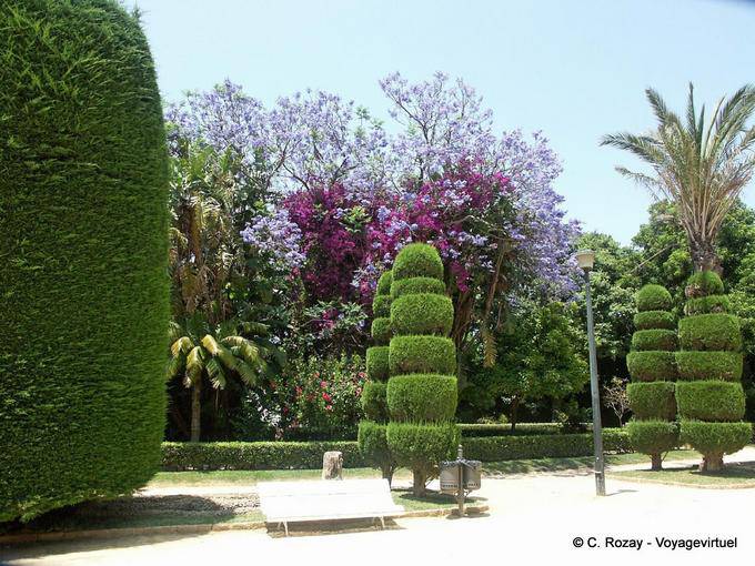Topiary Parque Genoves, Cadiz - Spanien, Andalusien