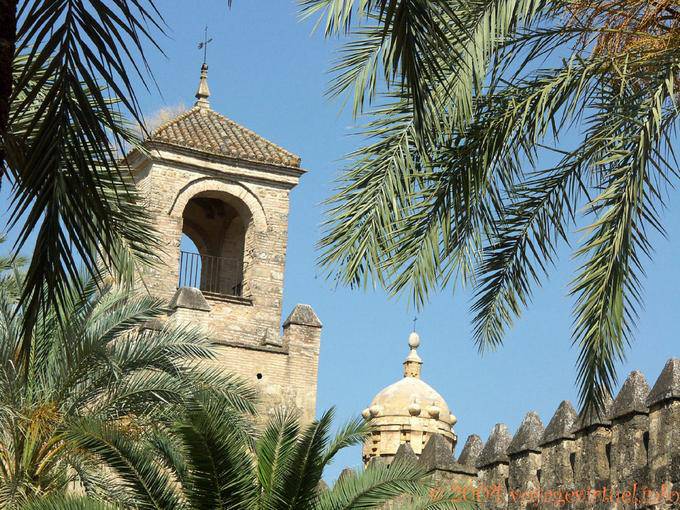 Blick zwischen den Palmen in den Gärten des Alcazar, Cordoba - Spanien, Andalusien