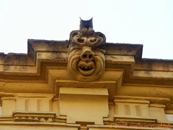 Schweinekopf, Cordoba - Spanien, Andalusien
