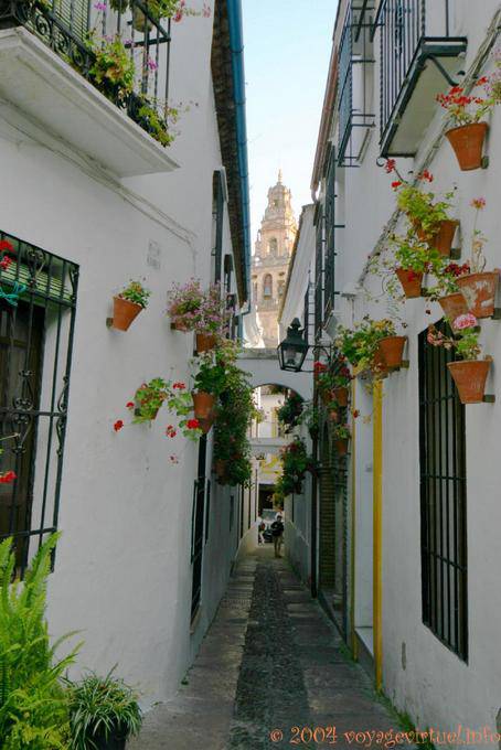 Medina y Corella, enge Gasse, Cordoba - Spanien, Andalusien