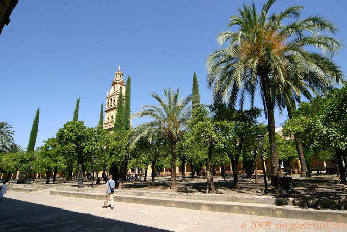 Im Garten der Patio de los Naranjos, Córdoba - Spanien, Andalusien
