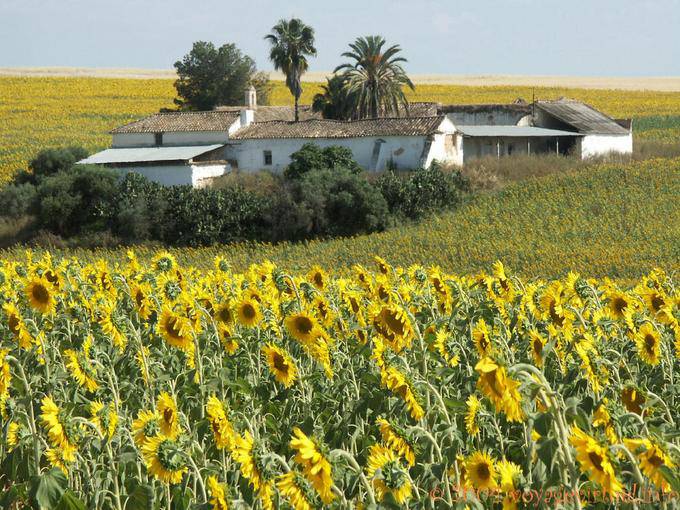 Farm nach Grazalema - Spanien