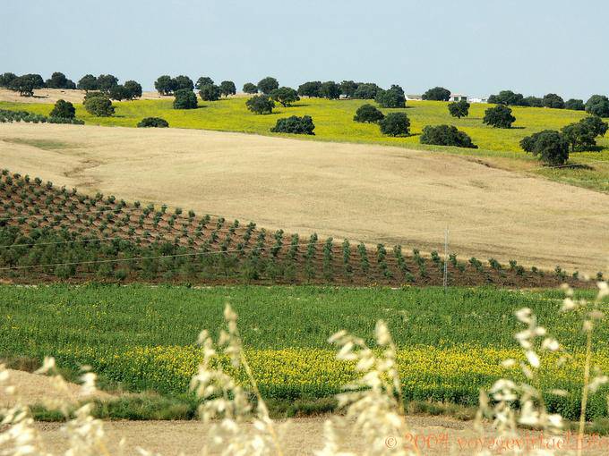 Schönheit rustikalen Grazalema - Spanien