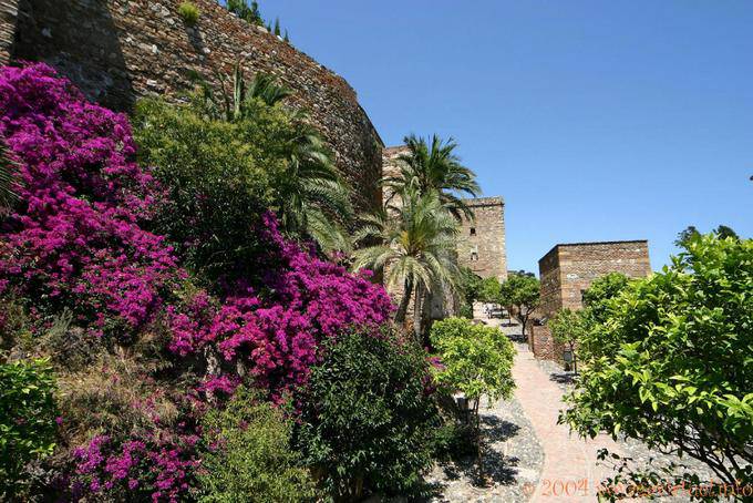 Floral Mauern der Alcazaba, Malaga - Spanien, Andalusien