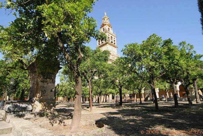 La Giralda Blick von der Patio de los Naranjos oder orange Innenhof Cordoba Mezquita - Spanien, Andalusien