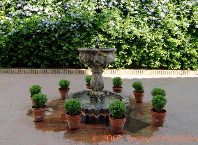 Feuchtmittel im Patio de los Jardineros, Palacio de Viana, Cordoba - Spanien, Andalusien