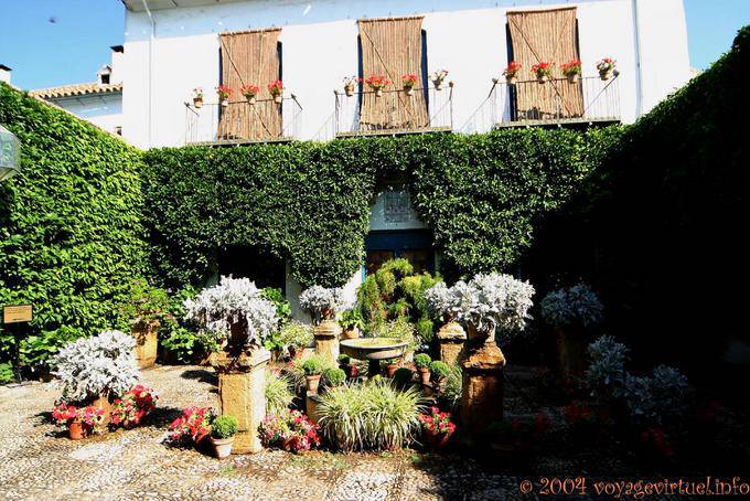 Controlled Pflanzen Invasion im Patio de las Rejas, Palacio de Viana, Cordoba - Spanien, Andalusien