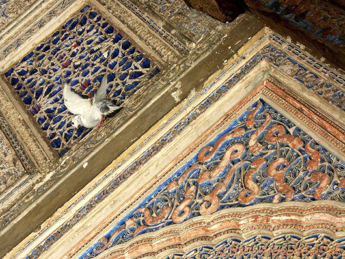 Pigeon verloren in Arabesken, Sevilla Alcazar - Spanien