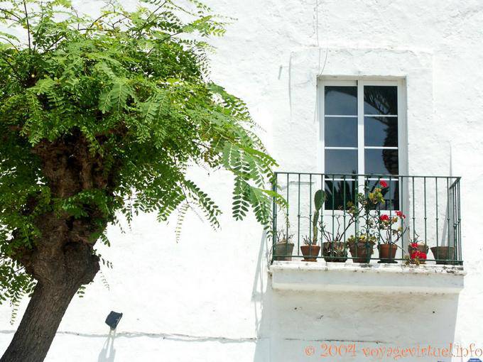 Baum und kleiner Balkon, Tarifa - Spanien