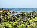 Algen und Boot vor Playa Monsul, Cabo de Gata, Spanien.