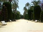 Auffahrt Parque Genoves, Cadiz, Spanien.