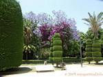 Topiary Parque Genoves, Cadiz, Spanien.