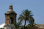 Palm und Architektur, Calle San Juan de Dios, Cadiz, Spanien.