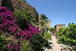 Floral Mauern der Alcazaba, Malaga, Spanien.