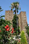 Palme vor einem Turm der Alcazaba, Malaga, Spanien.