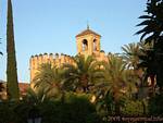 Wände und Palmen, Alcazar Cordoba, Spanien.