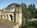 Noria von Albolafia, Cordoba, Spanien.