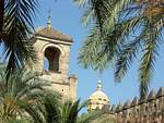Blick zwischen den Palmen in den Gärten des Alcazar, Cordoba, Spanien.